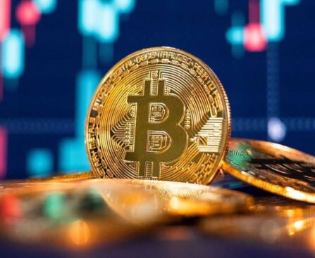 hoda crypto