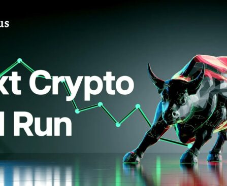 next crypto bull run
