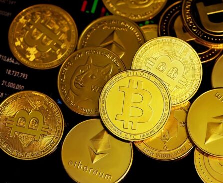 crypto company in tampa