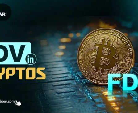 fdv crypto
