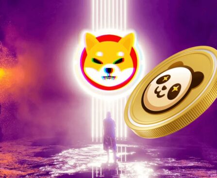 pandoshi crypto